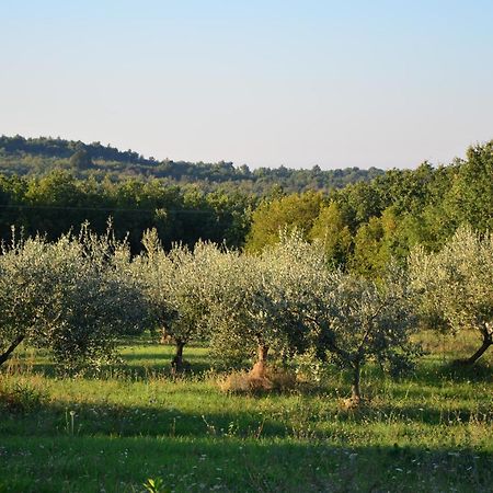 Villa Olivetta By Istrian Country Houses Barat  Exterior foto