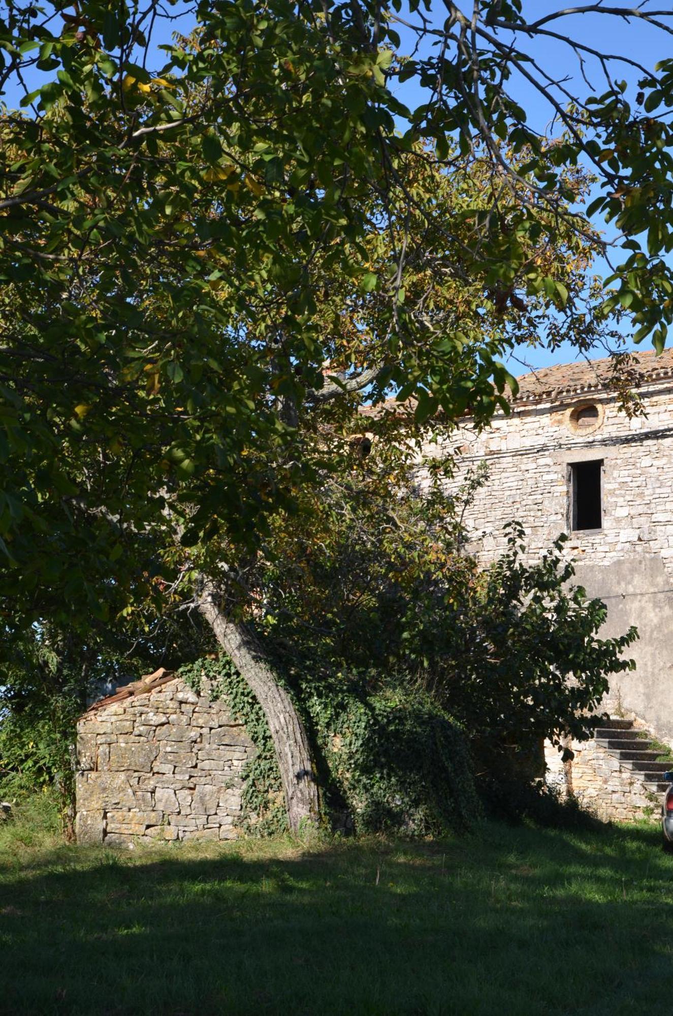 Villa Olivetta By Istrian Country Houses Barat  Exterior foto