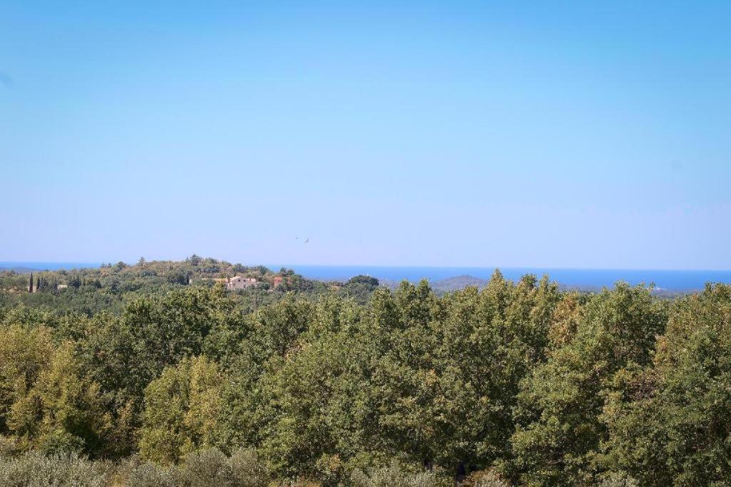 Villa Olivetta By Istrian Country Houses Barat  Exterior foto